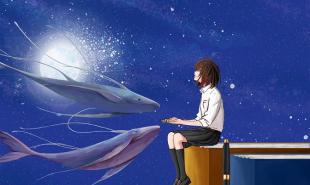 高黎贡山第十一届茶文化节在腾冲举办-热头条