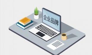 【快播报】财报速递：英思特2026年一季度净亏损1262.44万元